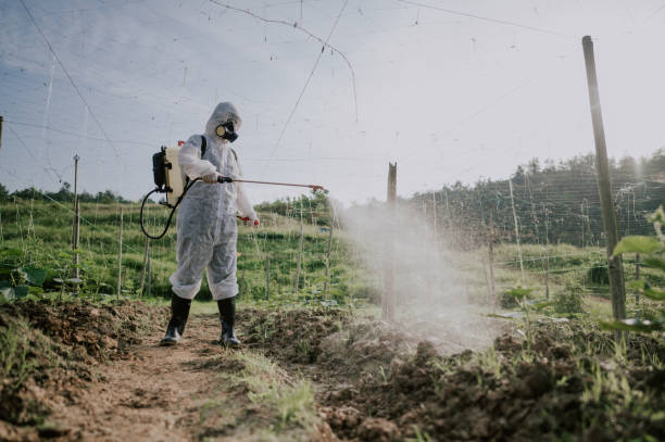 Best Pest Removal Services  in Oatfield, OR