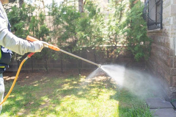 Best Wasp Removal Services  in Oatfield, OR