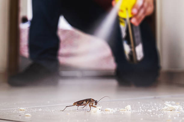 Best Pest Prevention Services  in Oatfield, OR