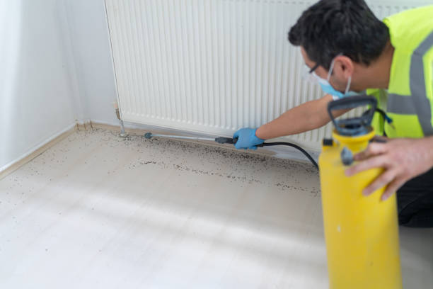 Best Cockroach Control Services  in Oatfield, OR