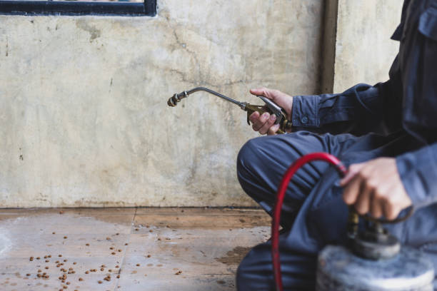 Best Best Pest Control Companies  in Oatfield, OR